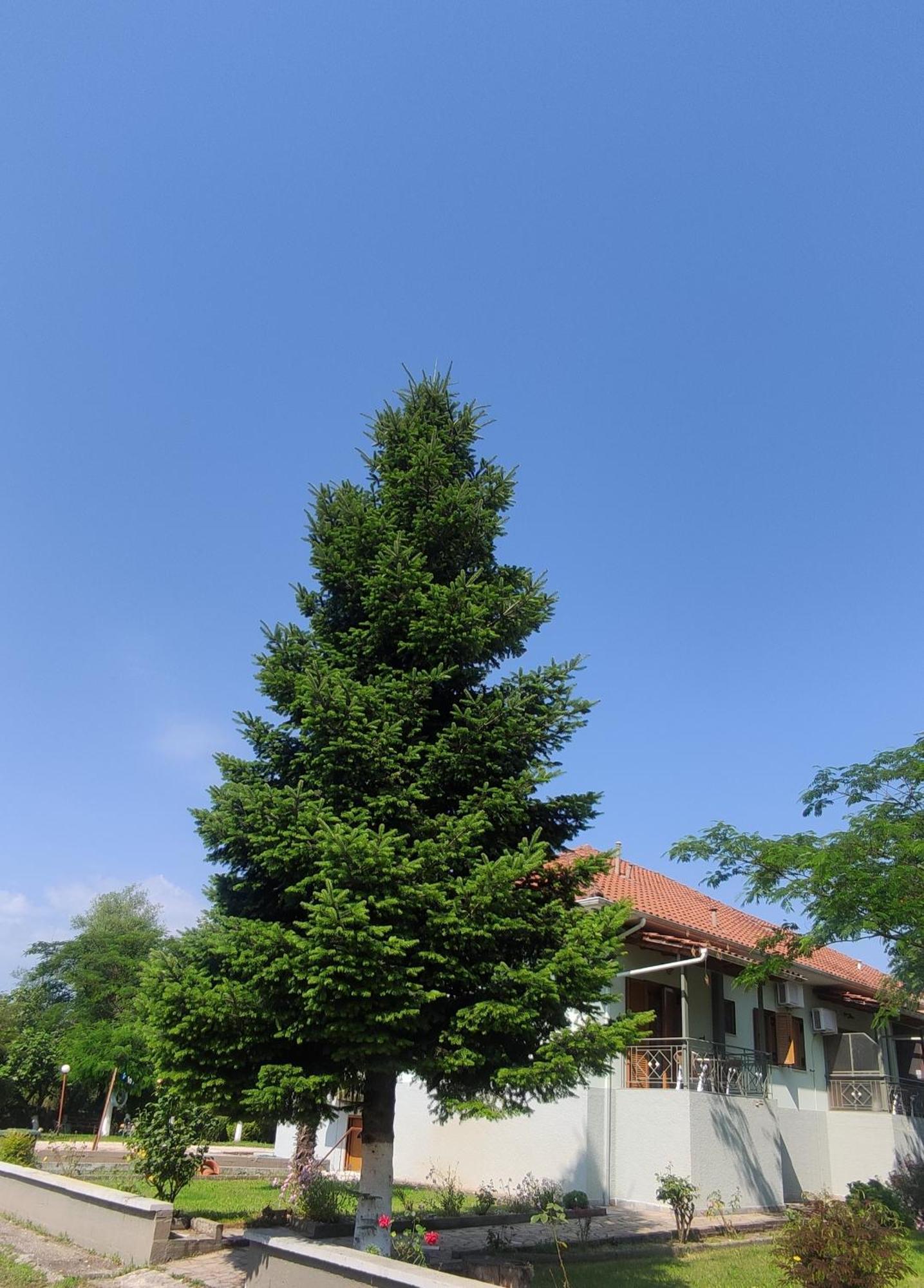 Zisis Garden Studios Yanya Dış mekan fotoğraf