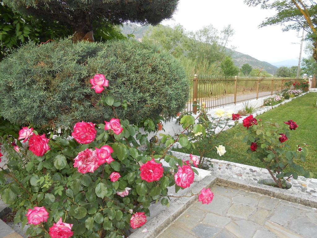Zisis Garden Studios Yanya Dış mekan fotoğraf